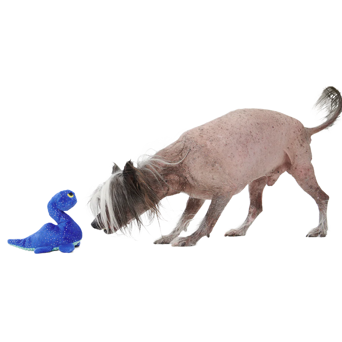 Luke Ness Monster Plush Tug Dog Toy - Image 4