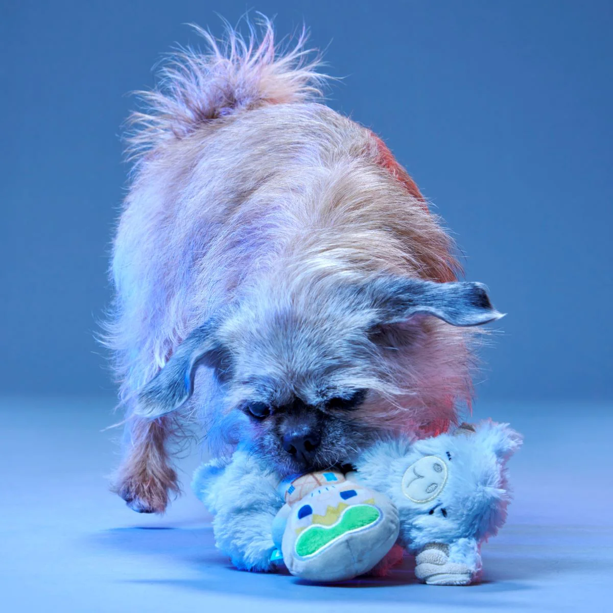 Lukewarm Tauntaun™ Plush Multi-Part + Enrichment Dog Toy - Image 4