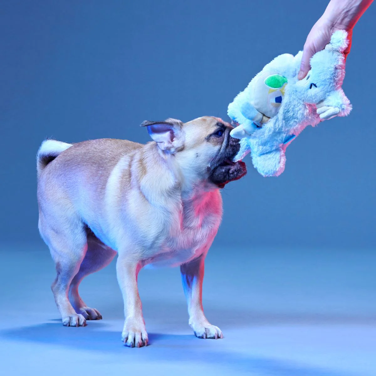Lukewarm Tauntaun™ Plush Multi-Part + Enrichment Dog Toy - Image 5