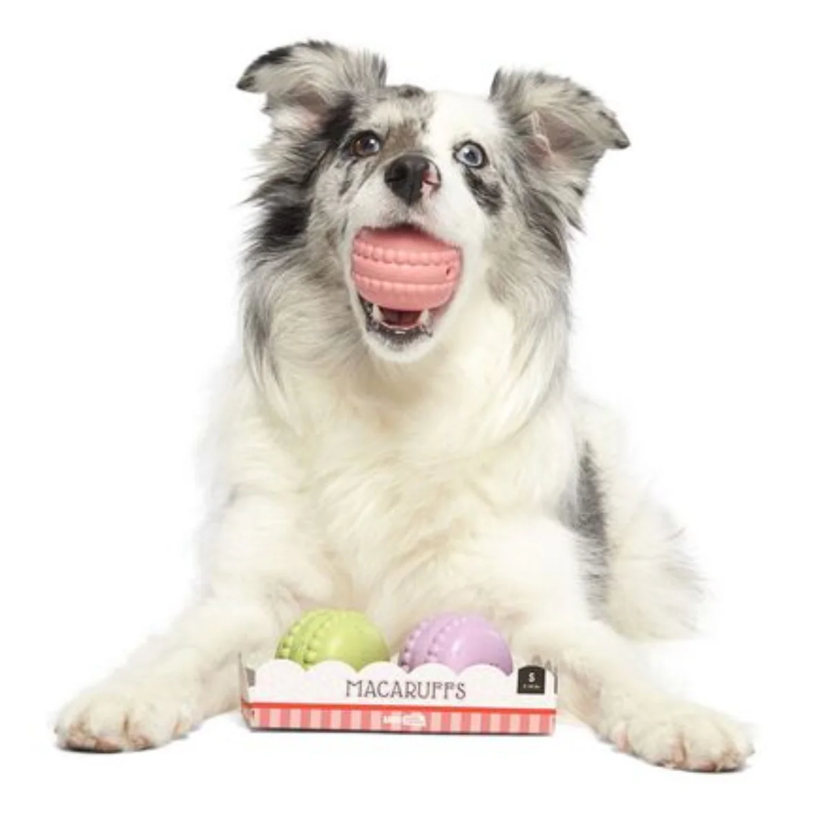 Macaruffs Durable Super Chewer Multi-Part Dog Toy - Image 4