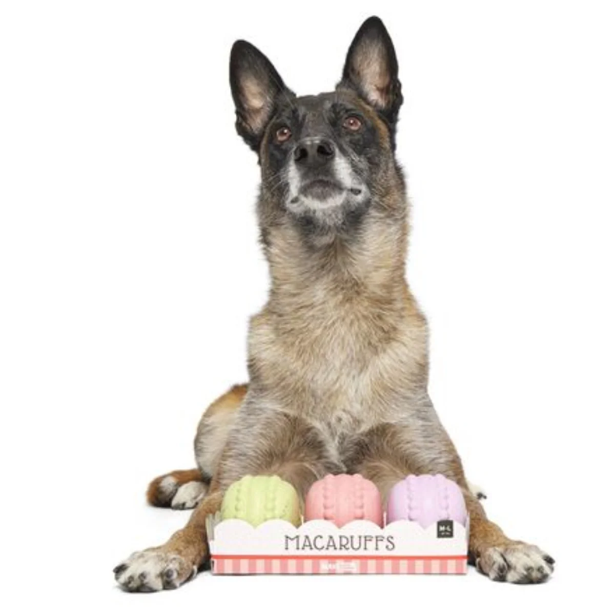 Macaruffs Durable Super Chewer Multi-Part Dog Toy - Image 5