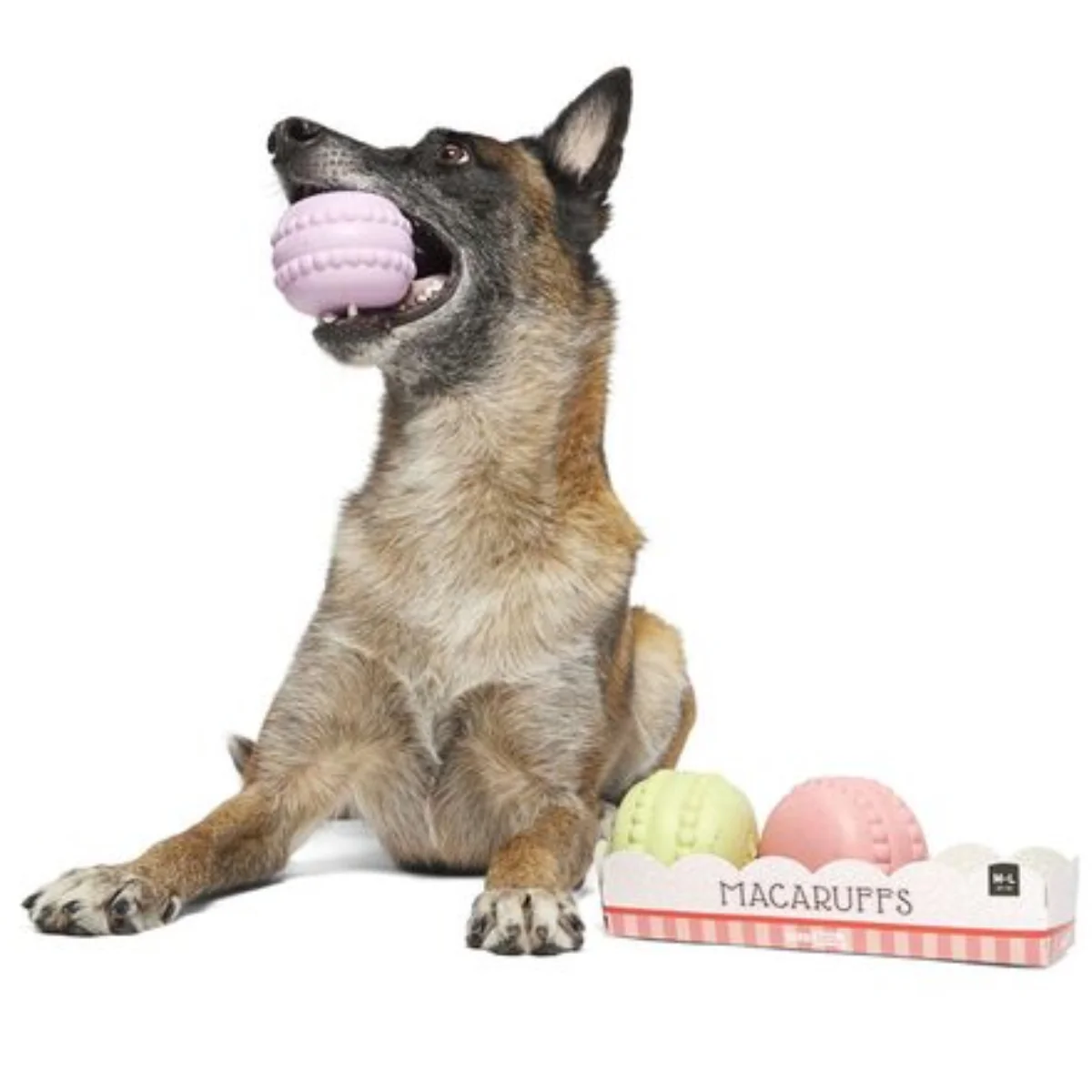 Macaruffs Durable Super Chewer Multi-Part Dog Toy - Image 6