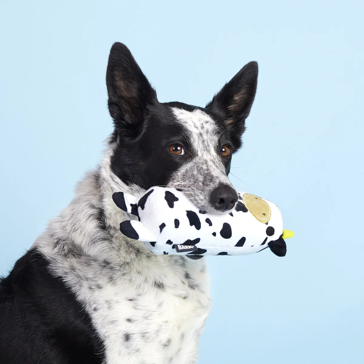 Mad Cow Super Chewer Durable 2-in-1 Rip and Reveal Dog Toy - Image 5
