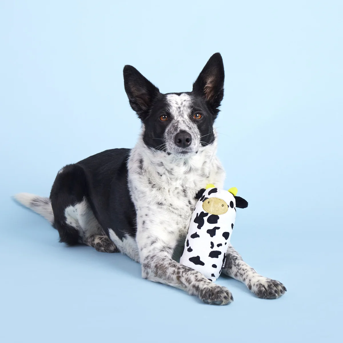 Mad Cow Super Chewer Durable 2-in-1 Rip and Reveal Dog Toy - Image 6