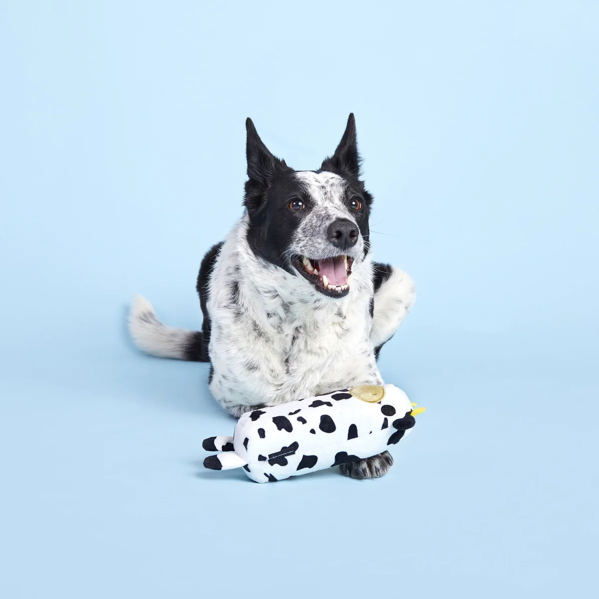 Mad Cow Super Chewer Durable 2-in-1 Rip and Reveal Dog Toy - Image 7