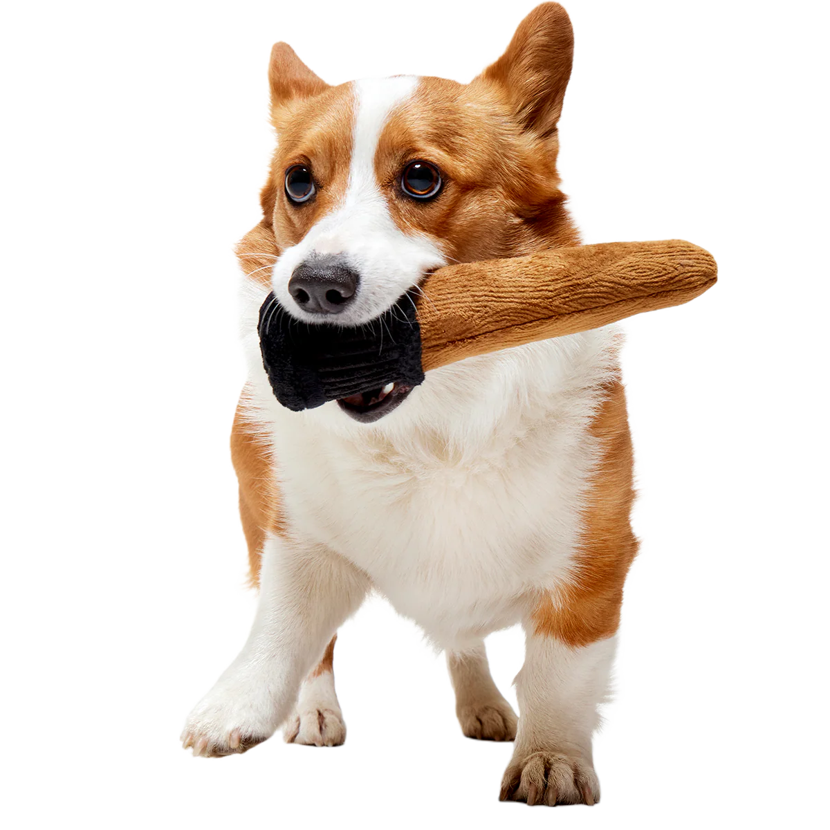 Spellbinding Wand™ Plush Tug Dog Toy - Image 4