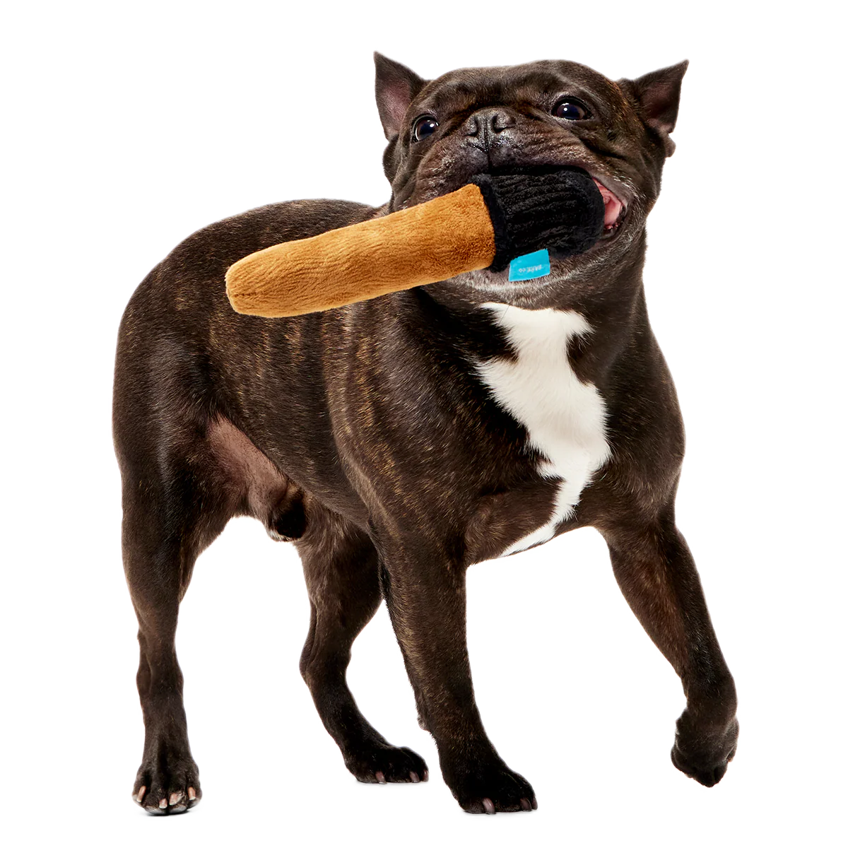 Spellbinding Wand™ Plush Tug Dog Toy - Image 5