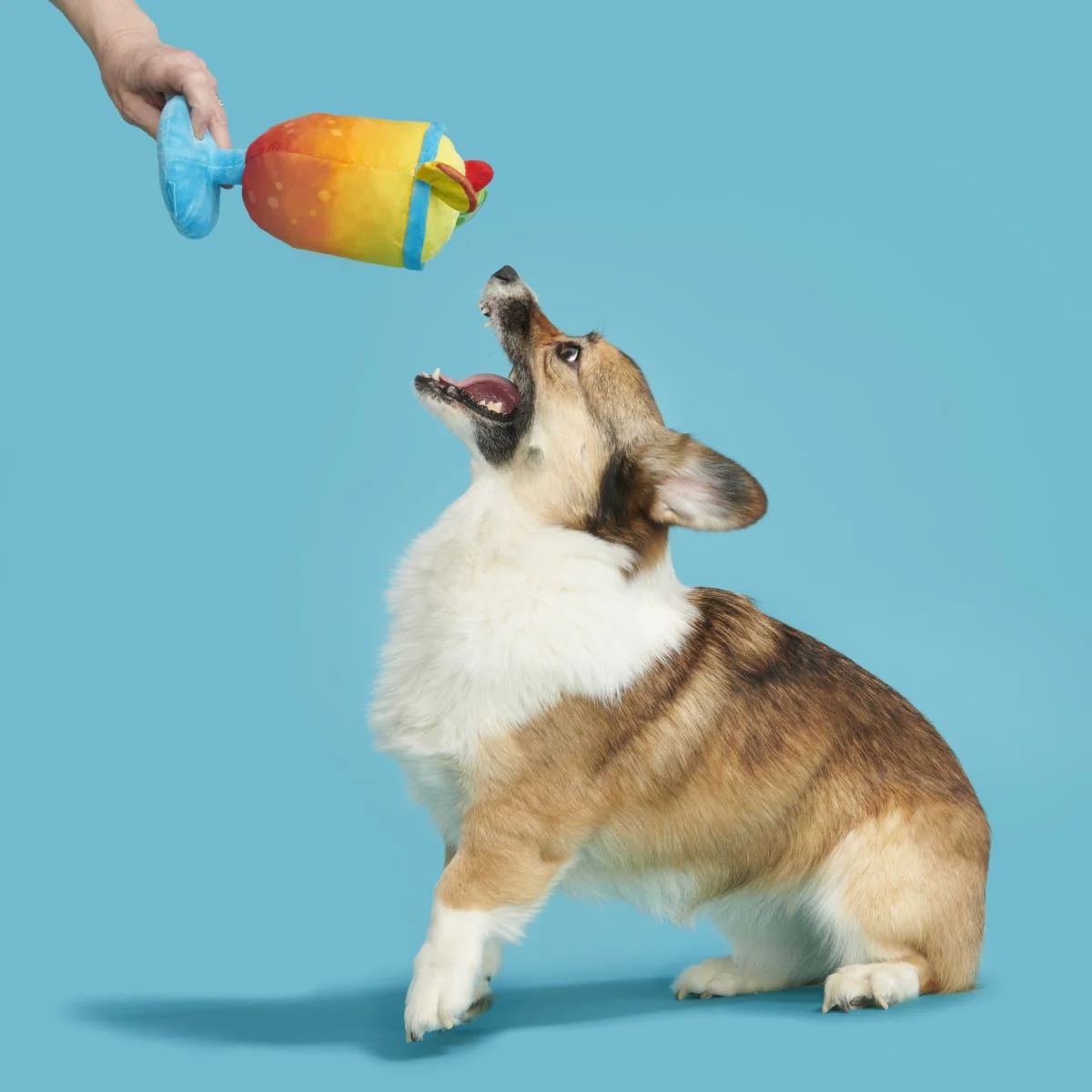 Mai Tail Plush Tug Dog Toy - Image 5
