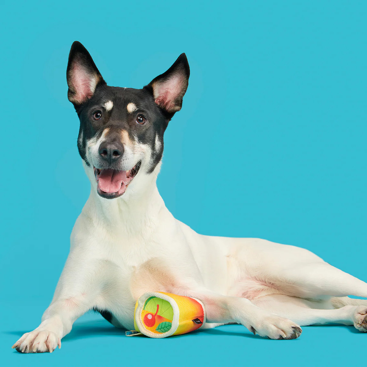 Mai Toy Super Chewer Durable 2-in-1 + Enrichment Dog Toy - Image 3
