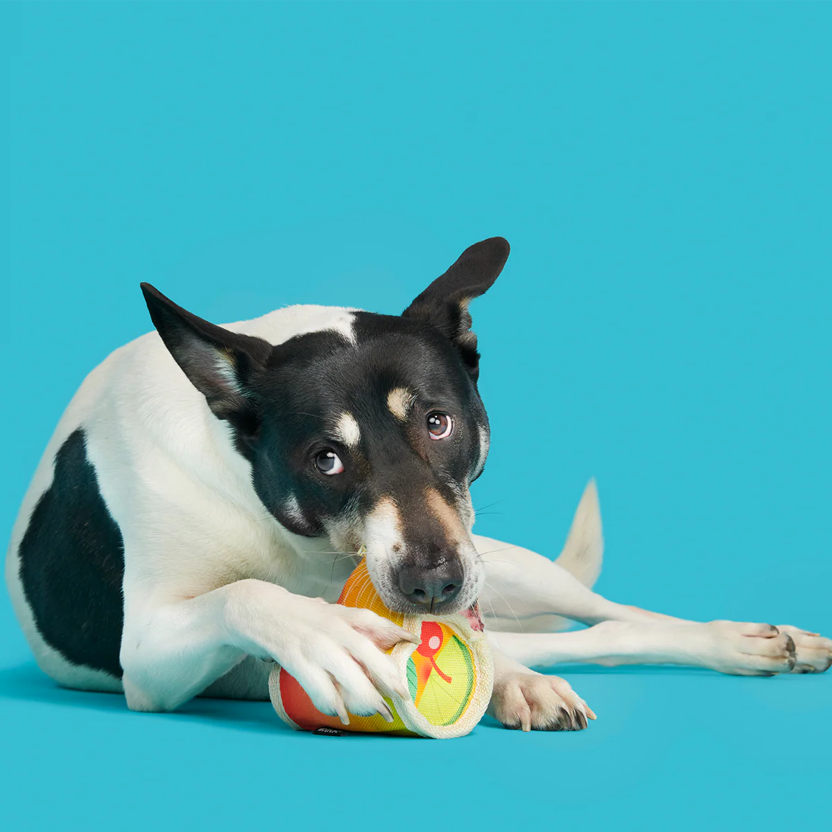 Mai Toy Super Chewer Durable 2-in-1 + Enrichment Dog Toy - Image 4