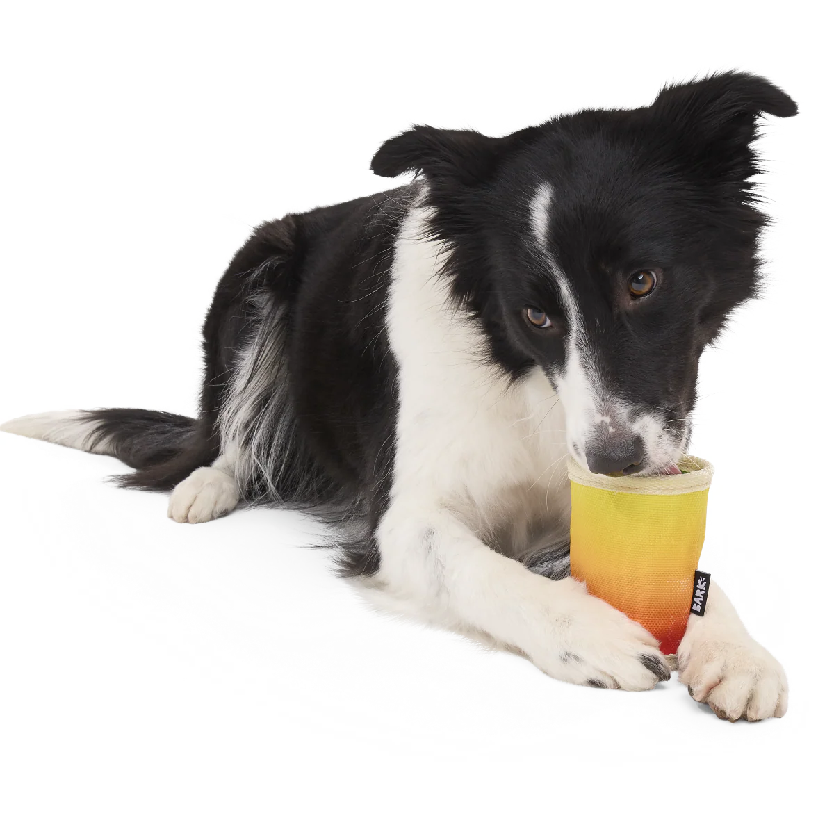 Mai Toy Super Chewer Durable 2-in-1 + Enrichment Dog Toy - Image 5