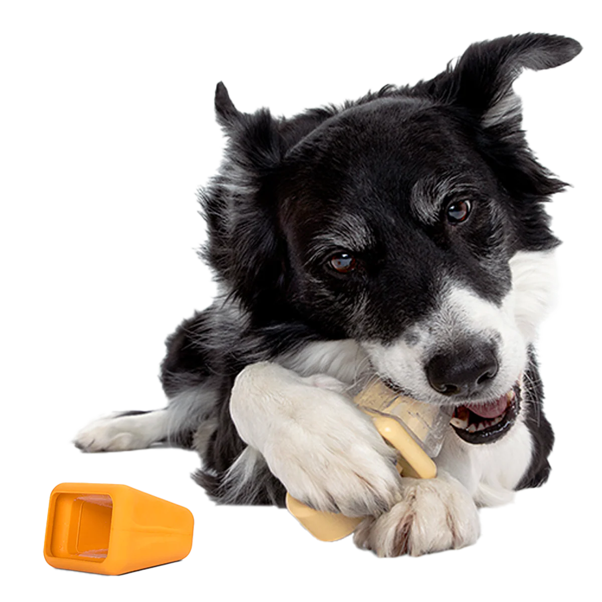 Make n' Munch Pupsicle Kit Super Chewer Durable Multi-Part Dog Toy - Image 3