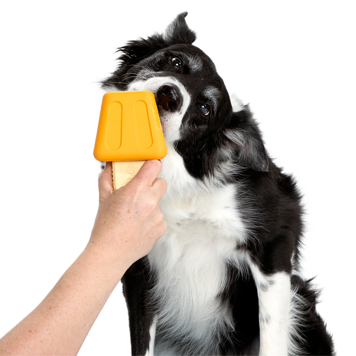 Make n' Munch Pupsicle Kit Super Chewer Durable Multi-Part Dog Toy - Image 4