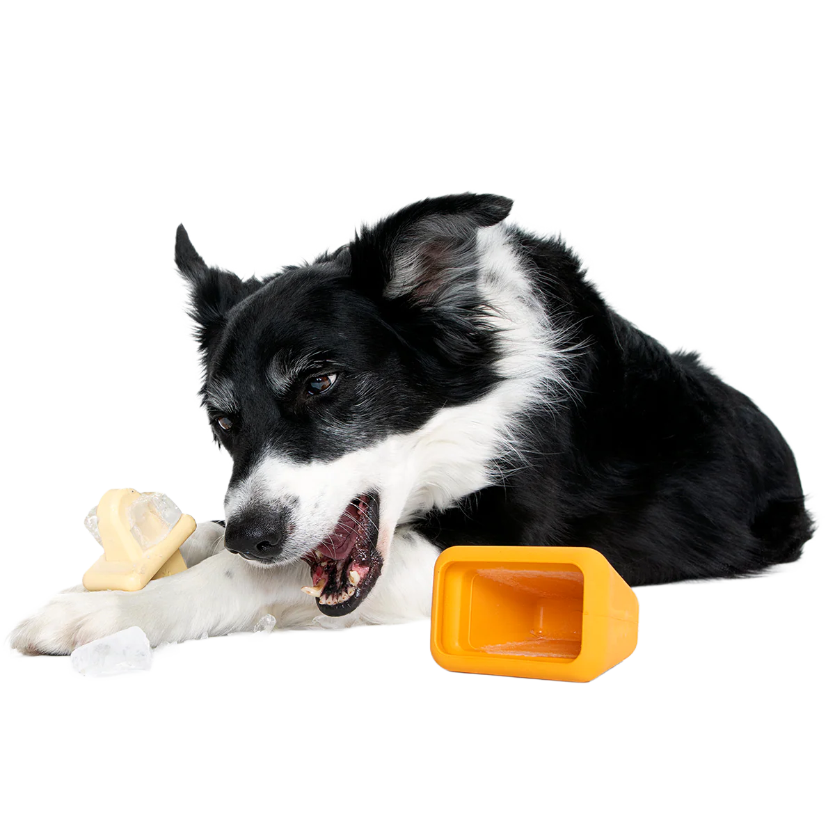 Make n' Munch Pupsicle Kit Super Chewer Durable Multi-Part Dog Toy - Image 5