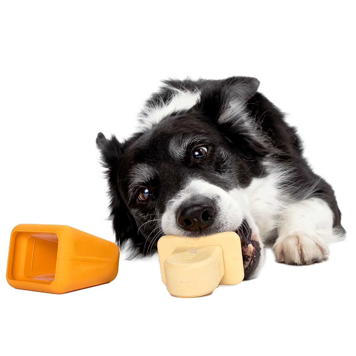 Make n' Munch Pupsicle Kit Super Chewer Durable Multi-Part Dog Toy - Image 6