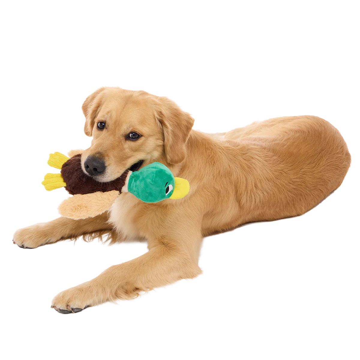 Mal R. Duck Plush Tug Dog Toy - Image 3