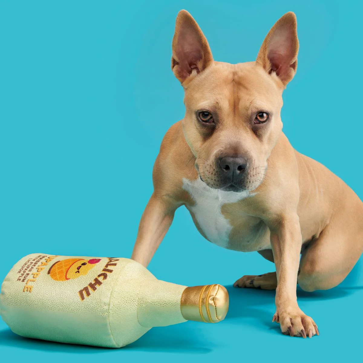 Malichu Rum Plush Tug + Extra-Large Dog Toy - Image 4
