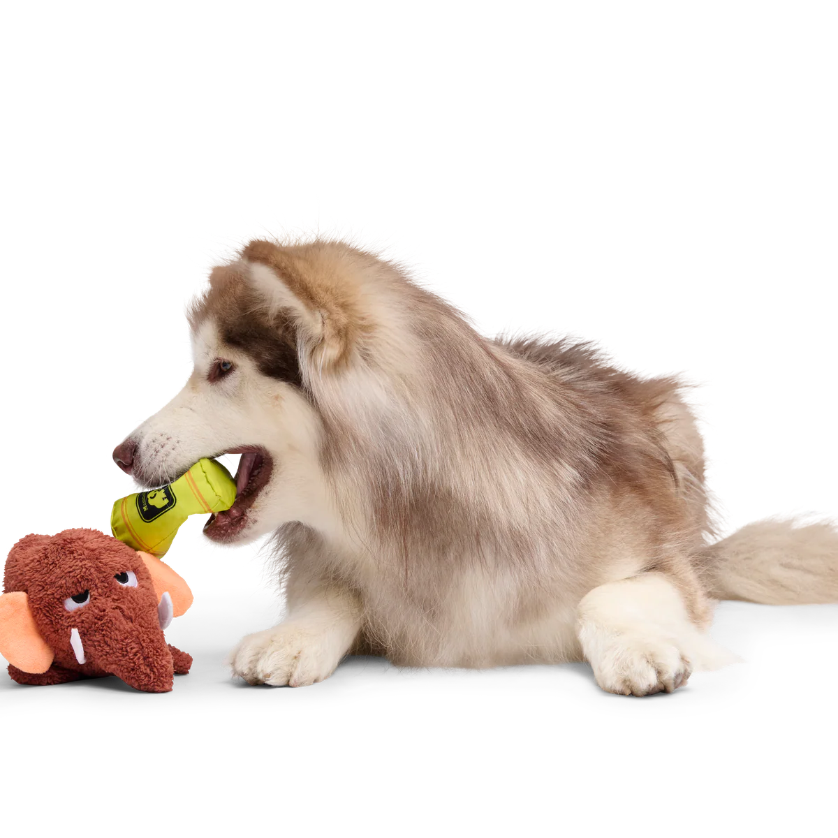 Mama Jama Mammoth Plush 2-in-1 Rip and Reveal Dog Toy - Image 4