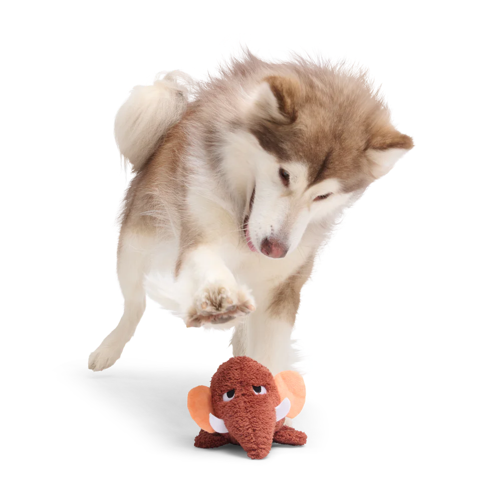 Mama Jama Mammoth Plush 2-in-1 Rip and Reveal Dog Toy - Image 5