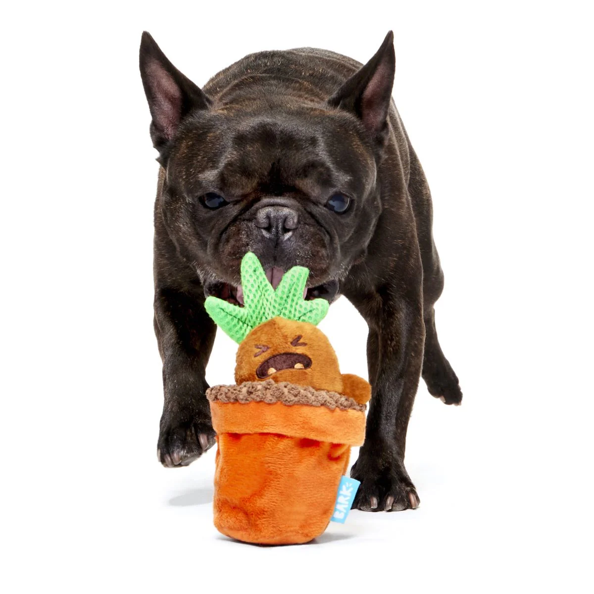 Mandrake™ Plush Tug + Multi-Part Dog Toy - Image 3