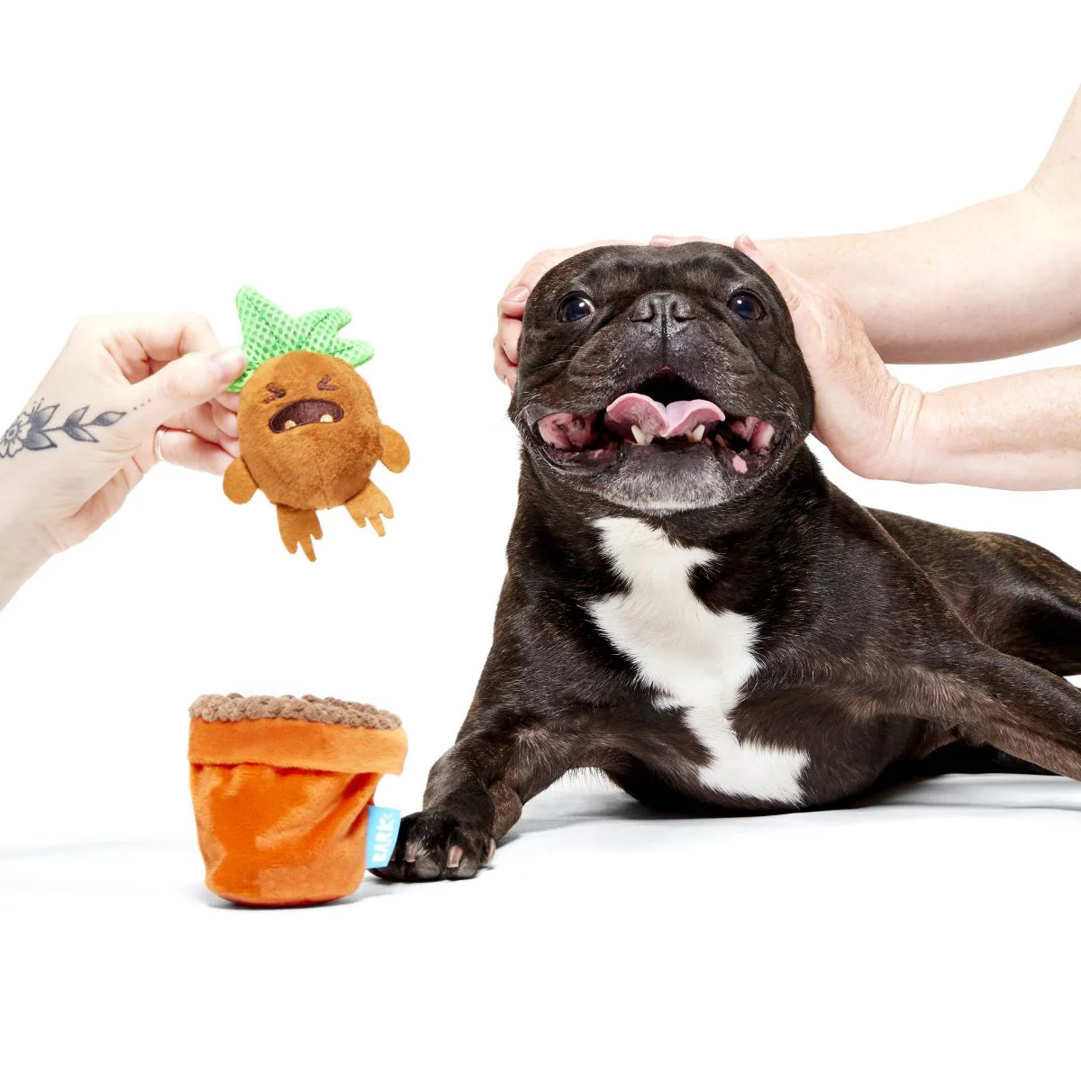 Mandrake™ Plush Tug + Multi-Part Dog Toy - Image 4