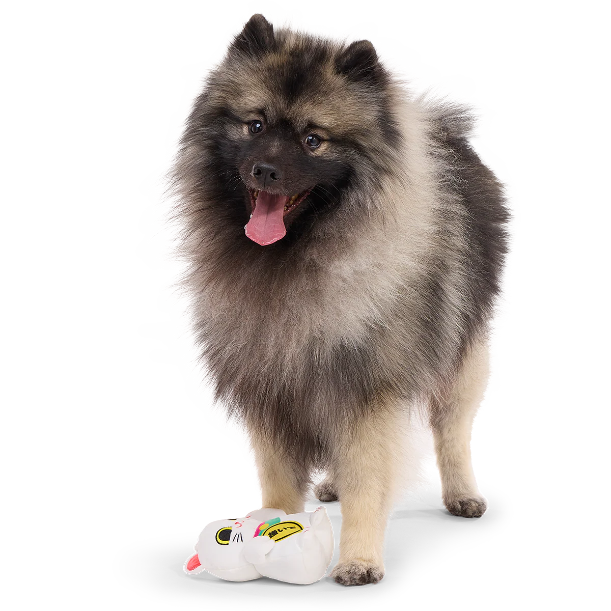 Maneki Mariko Plush Tug Dog Toy - Image 3