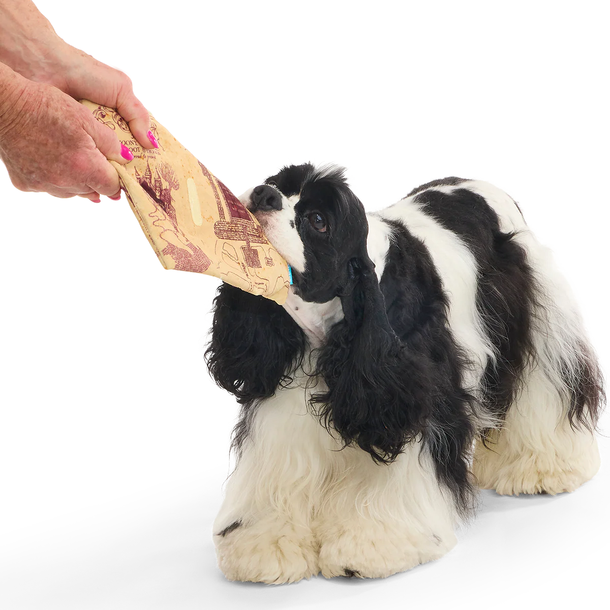 Marauder’s Map™ Plush Tug Dog Toy - Image 3
