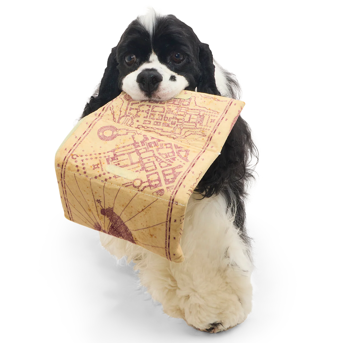 Marauder’s Map™ Plush Tug Dog Toy - Image 4