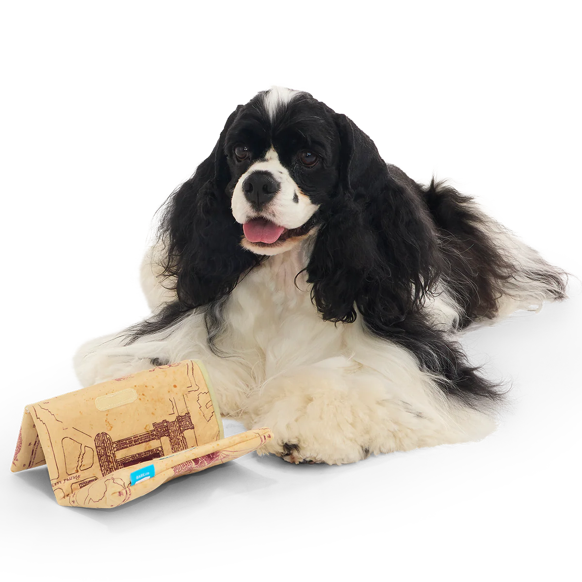 Marauder’s Map™ Plush Tug Dog Toy - Image 5