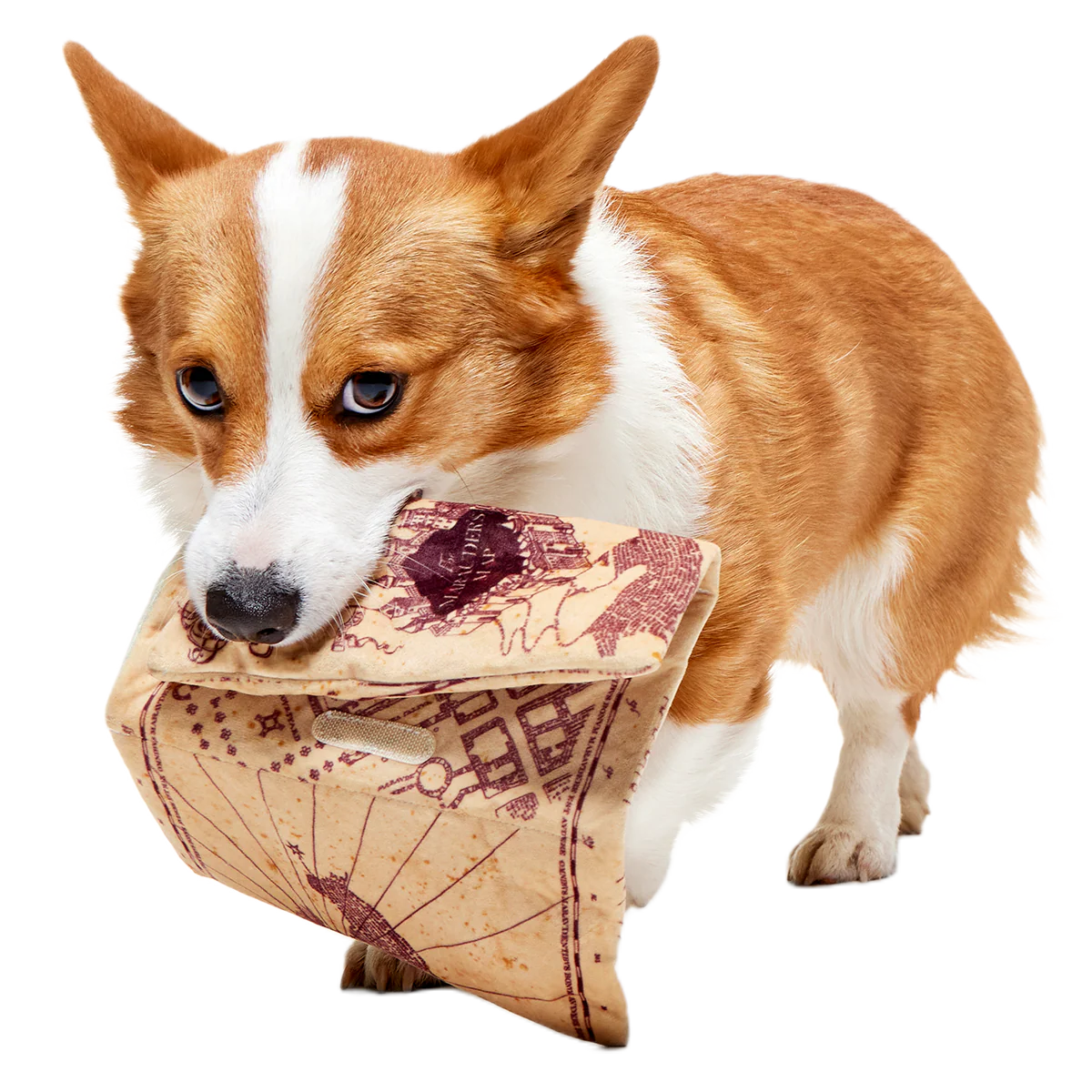 Marauder’s Map™ Plush Tug Dog Toy - Image 6