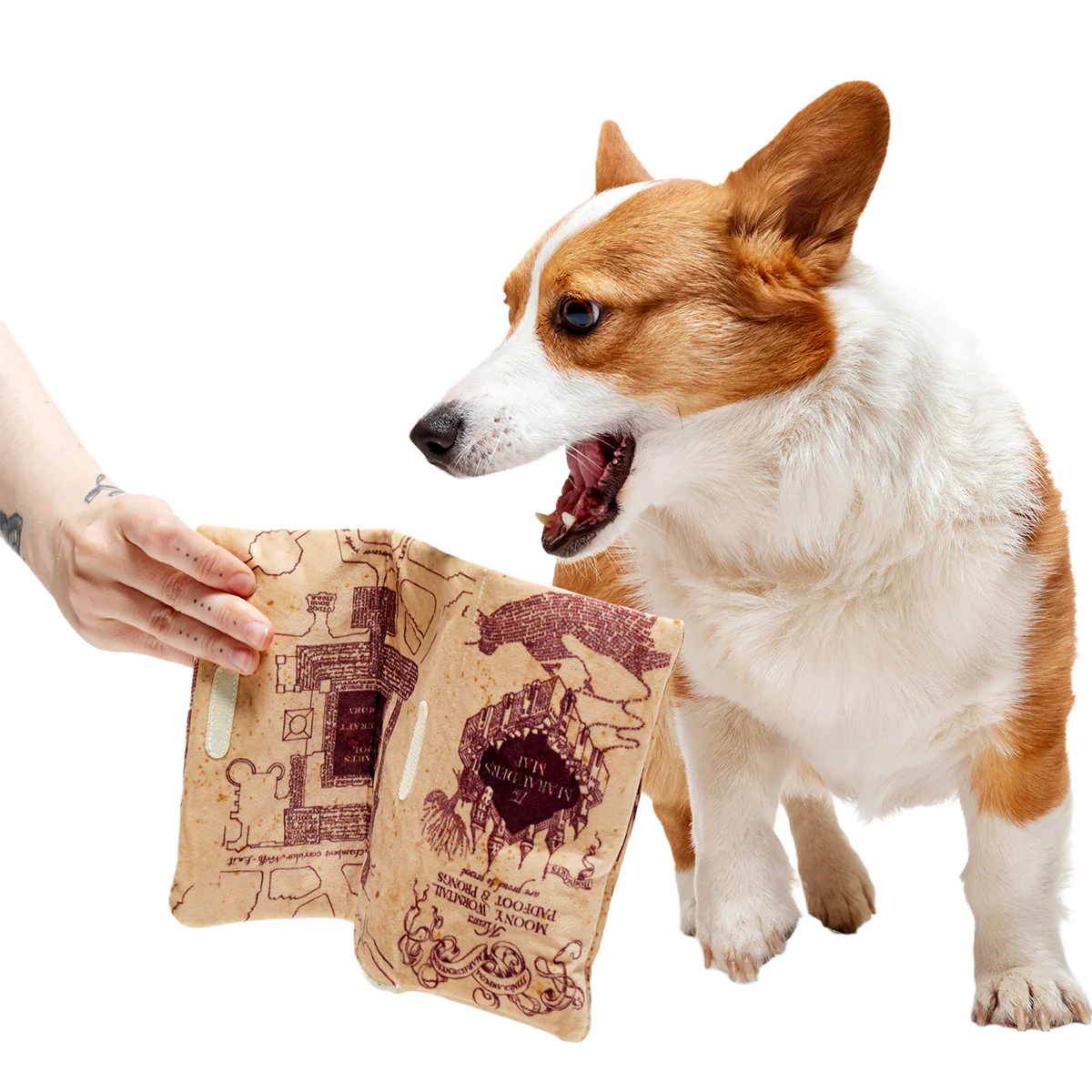 Marauder’s Map™ Plush Tug Dog Toy - Image 7