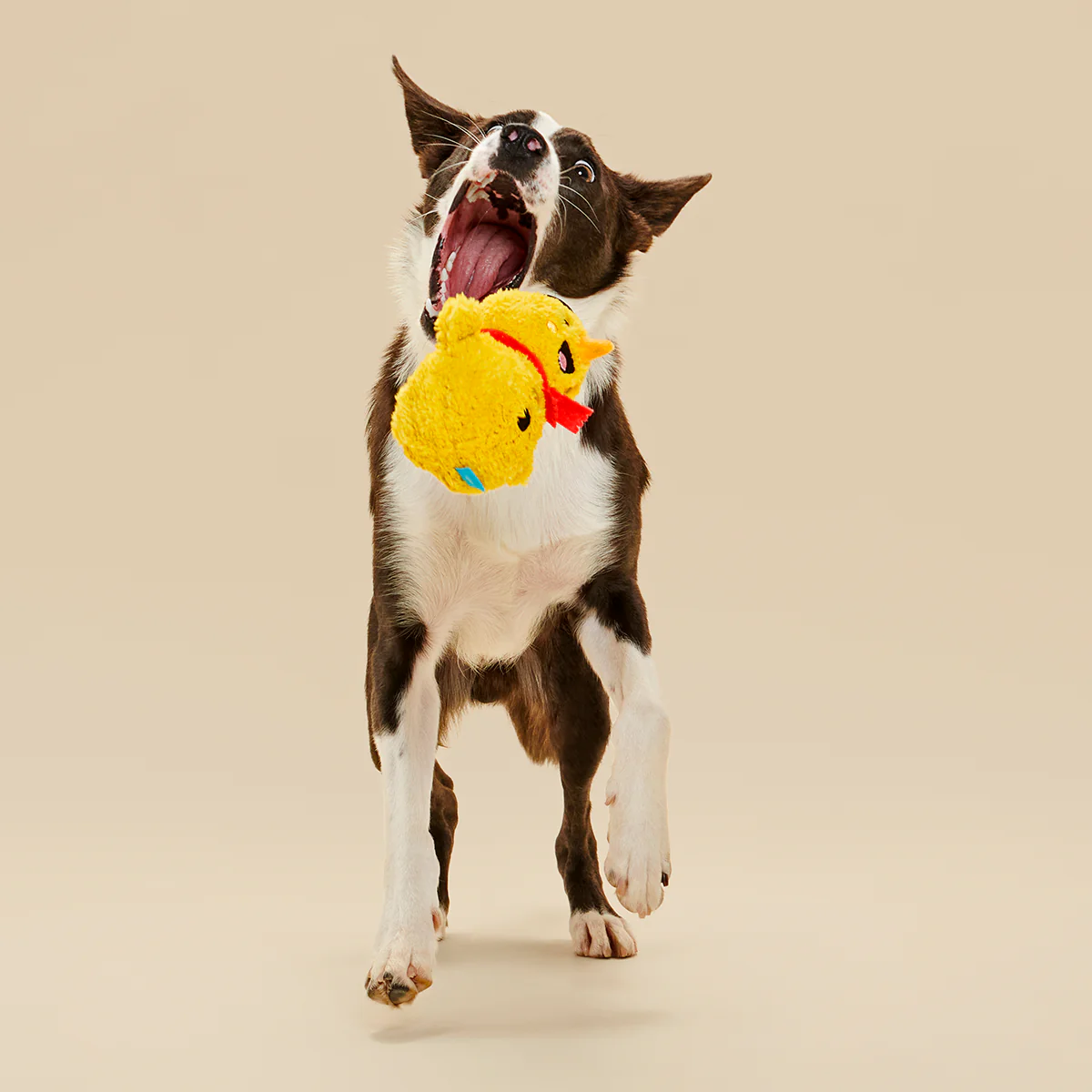 Mark the Yellow Snowman Plush Dog Toy - Image 2