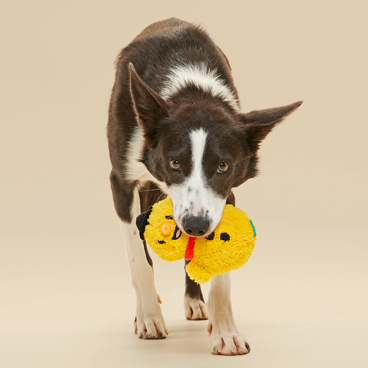 Mark the Yellow Snowman Plush Dog Toy - Image 3