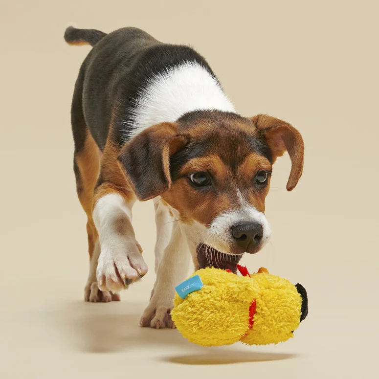 Mark the Yellow Snowman Plush Dog Toy - Image 4