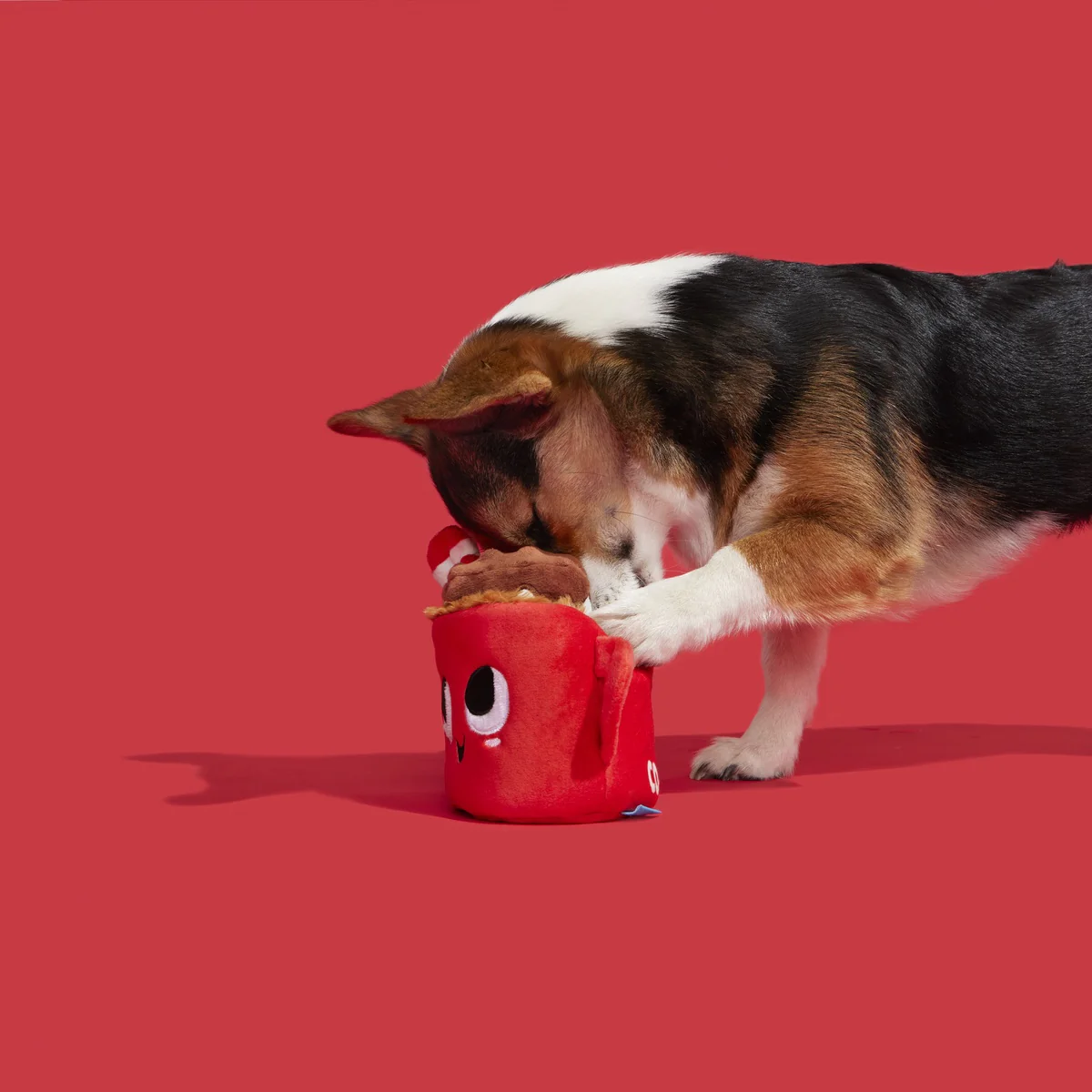 Marshal & Coco Plush Multi-Part Dog Toy - Image 4