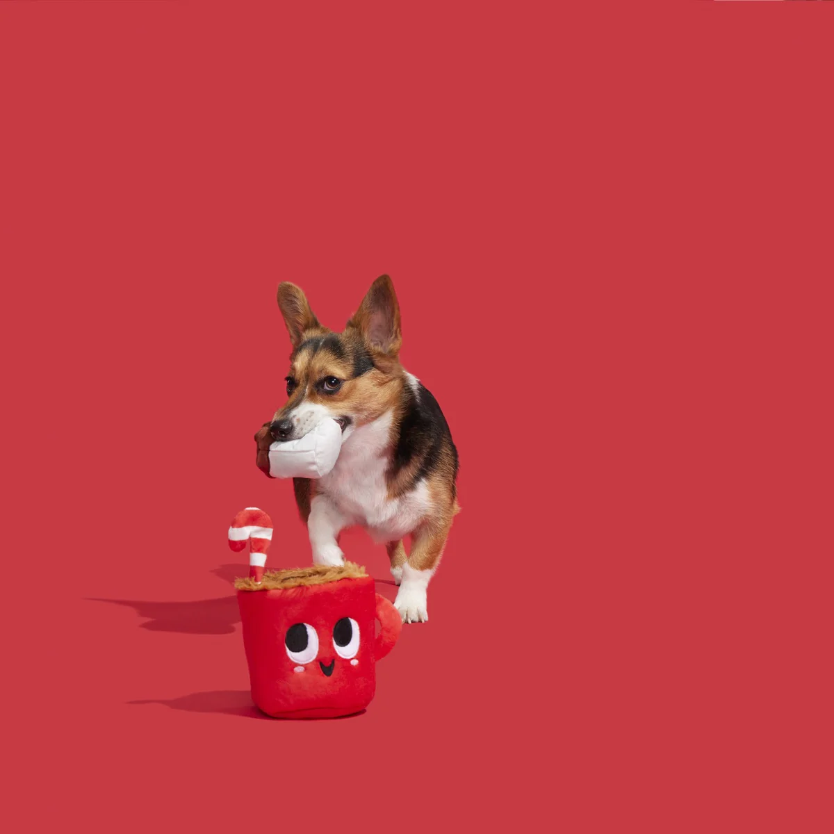 Marshal & Coco Plush Multi-Part Dog Toy - Image 5