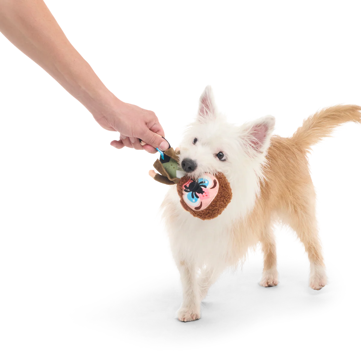 Marv Plush Tug Dog Toy - Image 4