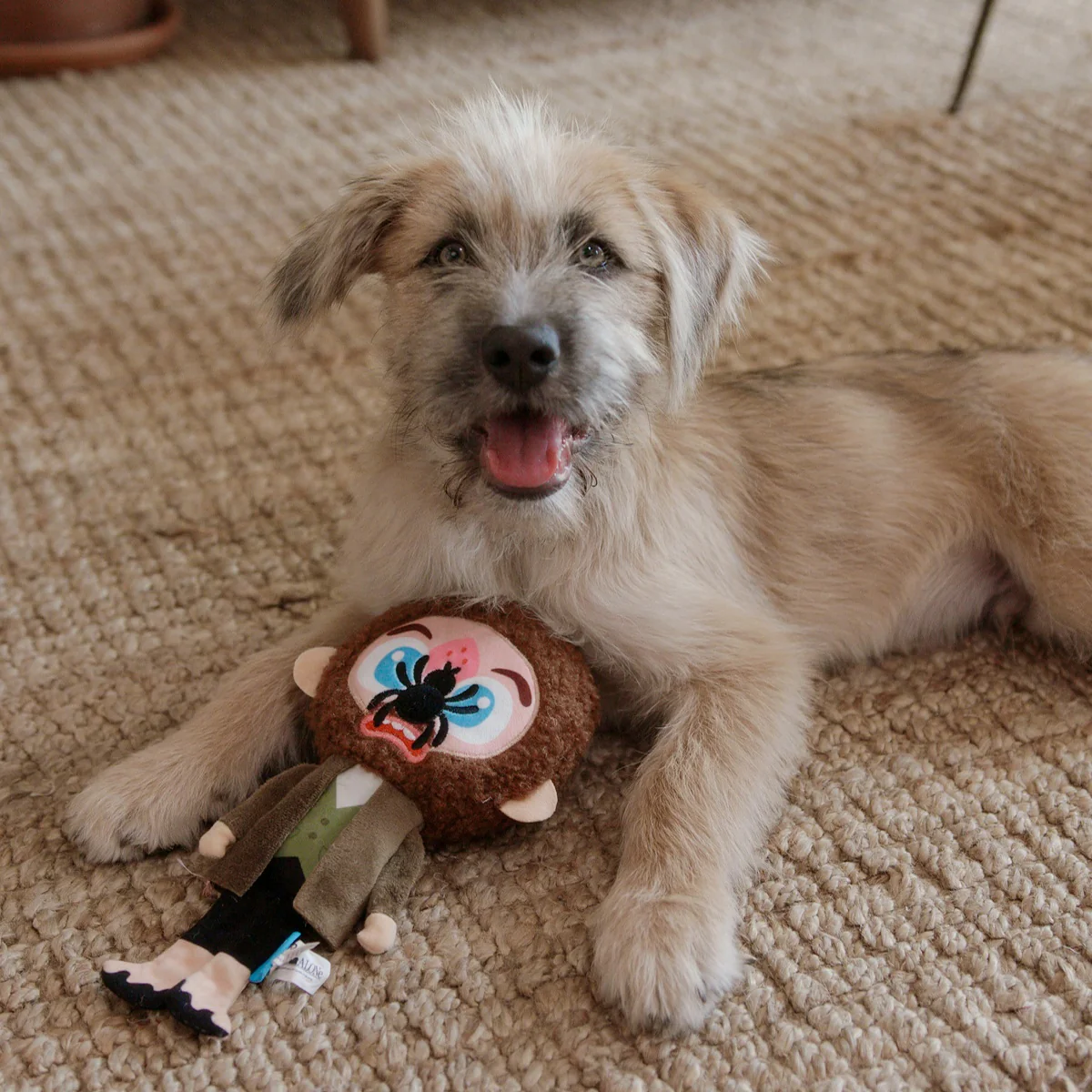 Marv Plush Tug Dog Toy - Image 6