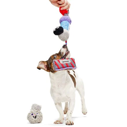 Maytug Vacuum - Image 3