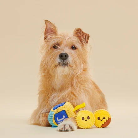 Mazel Toys Hanukkah Plush Multi-Part Dog Toy - Image 3