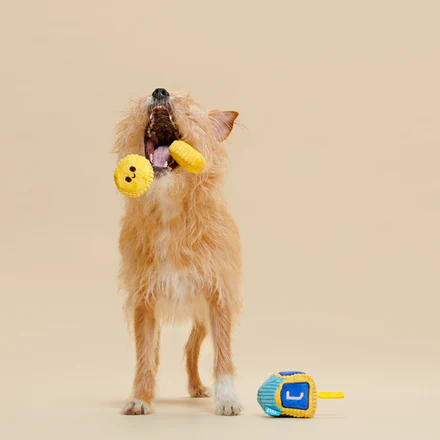 Mazel Toys Hanukkah Plush Multi-Part Dog Toy - Image 4