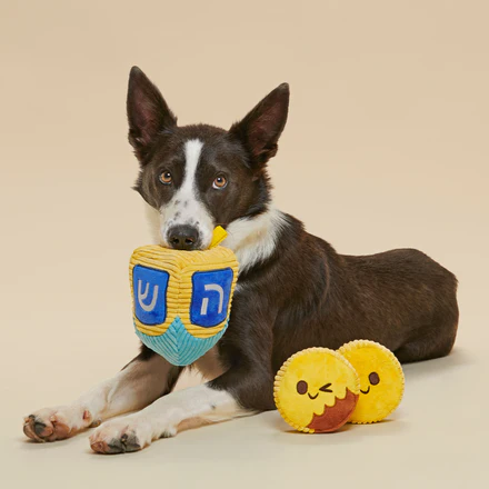 Mazel Toys Hanukkah Plush Multi-Part Dog Toy - Image 5