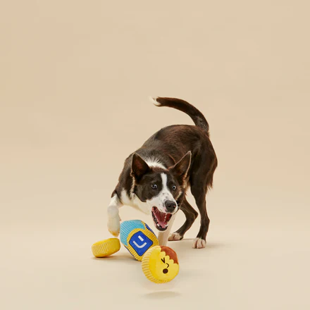 Mazel Toys Hanukkah Plush Multi-Part Dog Toy - Image 6