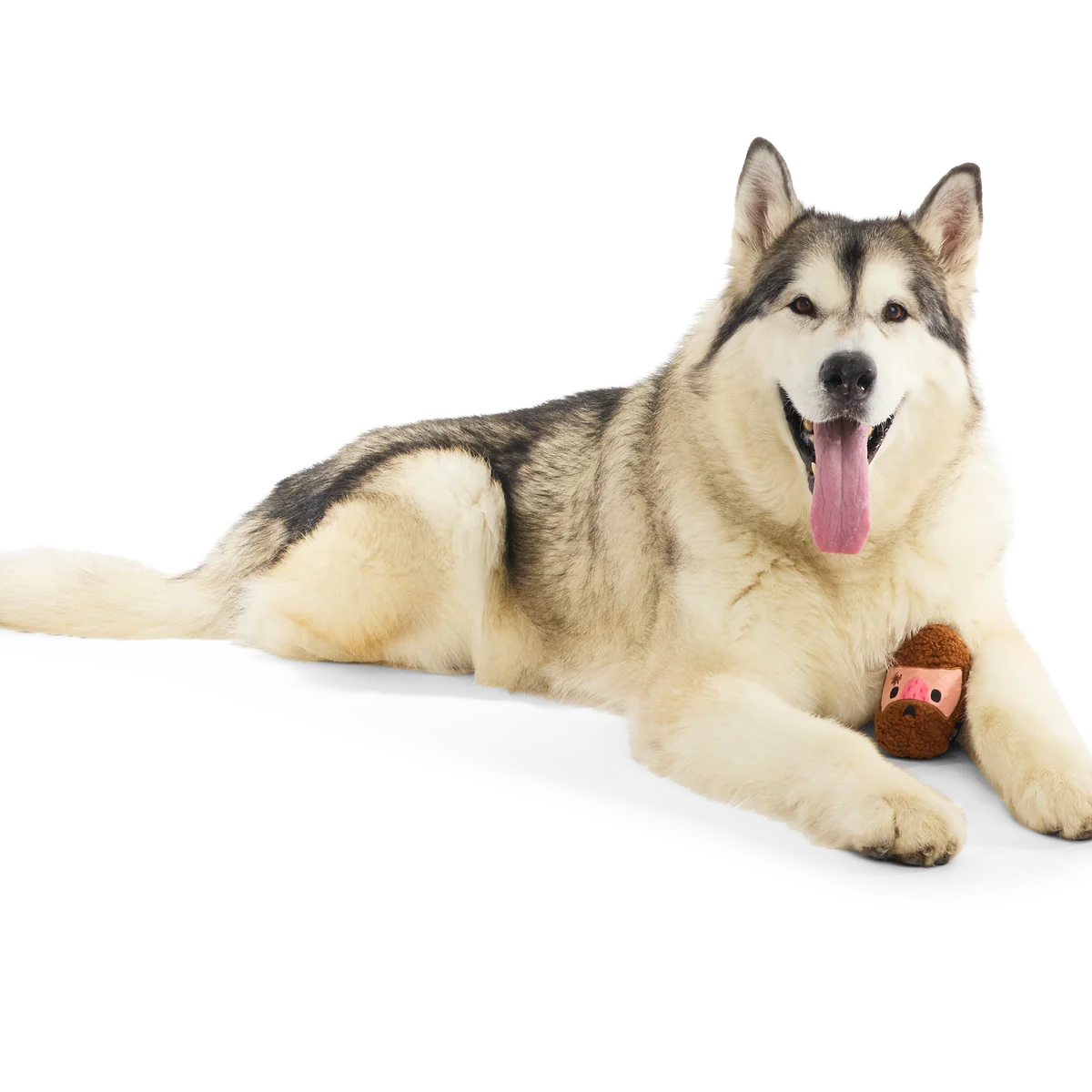 Mean Mad Marv Durable Super Chewer Dog Toy - Image 6