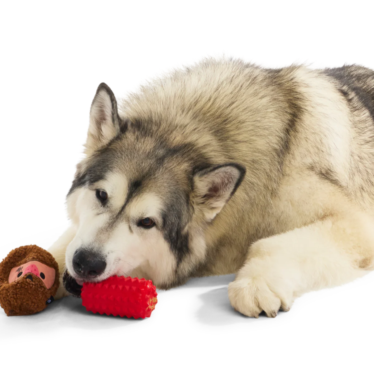 Mean Mad Marv Durable Super Chewer Dog Toy - Image 7