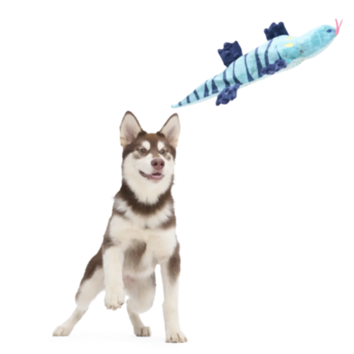 Megalania Meg Plush Dog Toy - Image 4