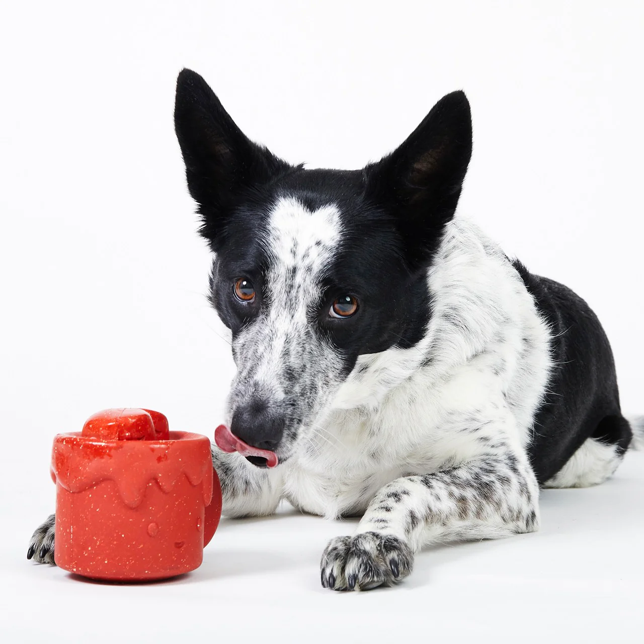 Meghan’s Mug of Cocoa Super Chewer Durable Enrichment Dog Toy - Image 4