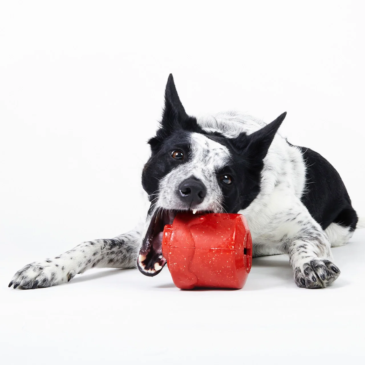 Meghan’s Mug of Cocoa Super Chewer Durable Enrichment Dog Toy - Image 5
