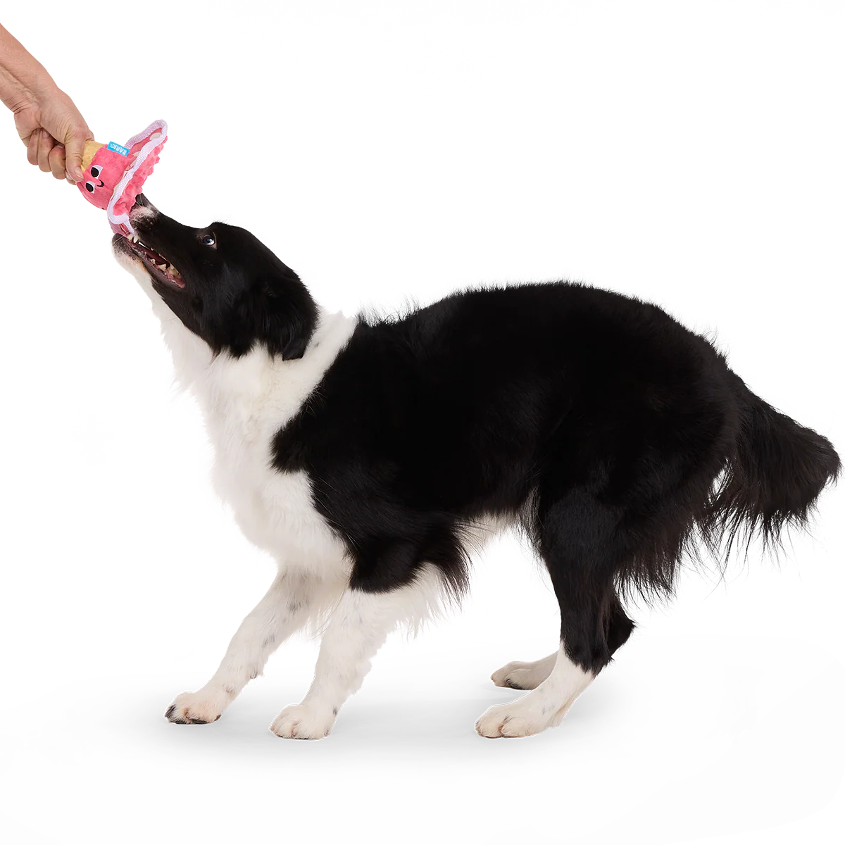 Melted Melanie Plush Tug Dog Toy - Image 2