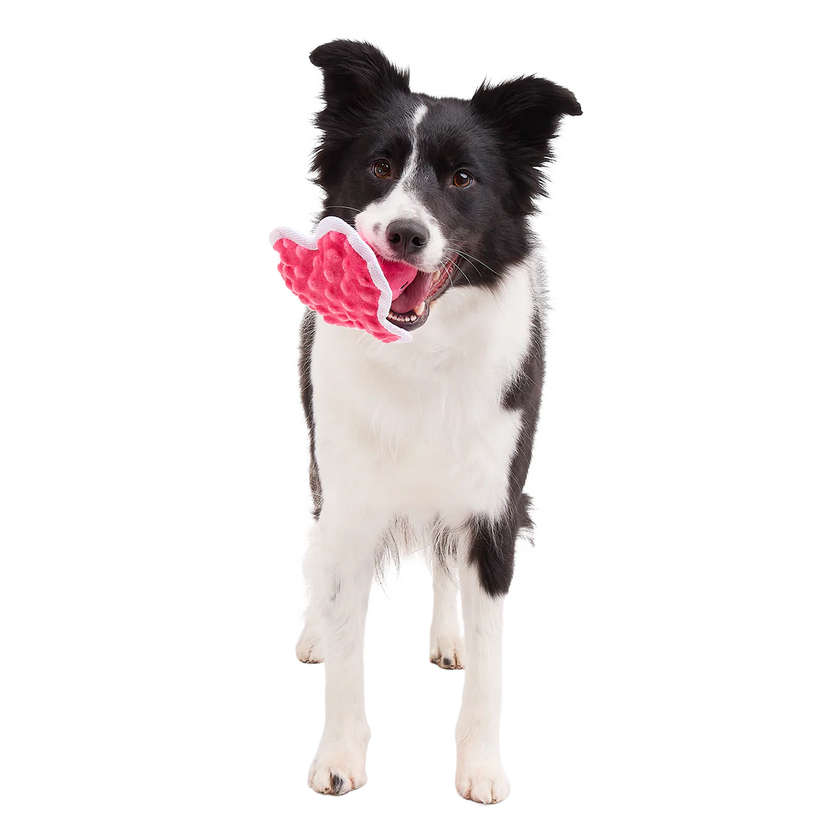 Melted Melanie Plush Tug Dog Toy - Image 3